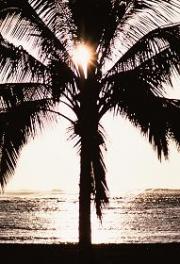 Szczepienia przed podróżą